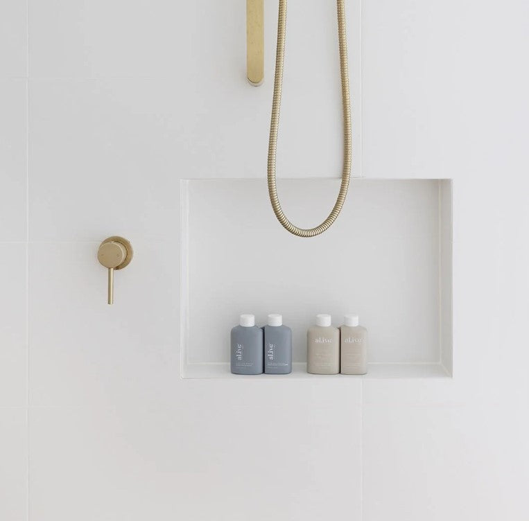 ALIV Hair and Body Travel Pack